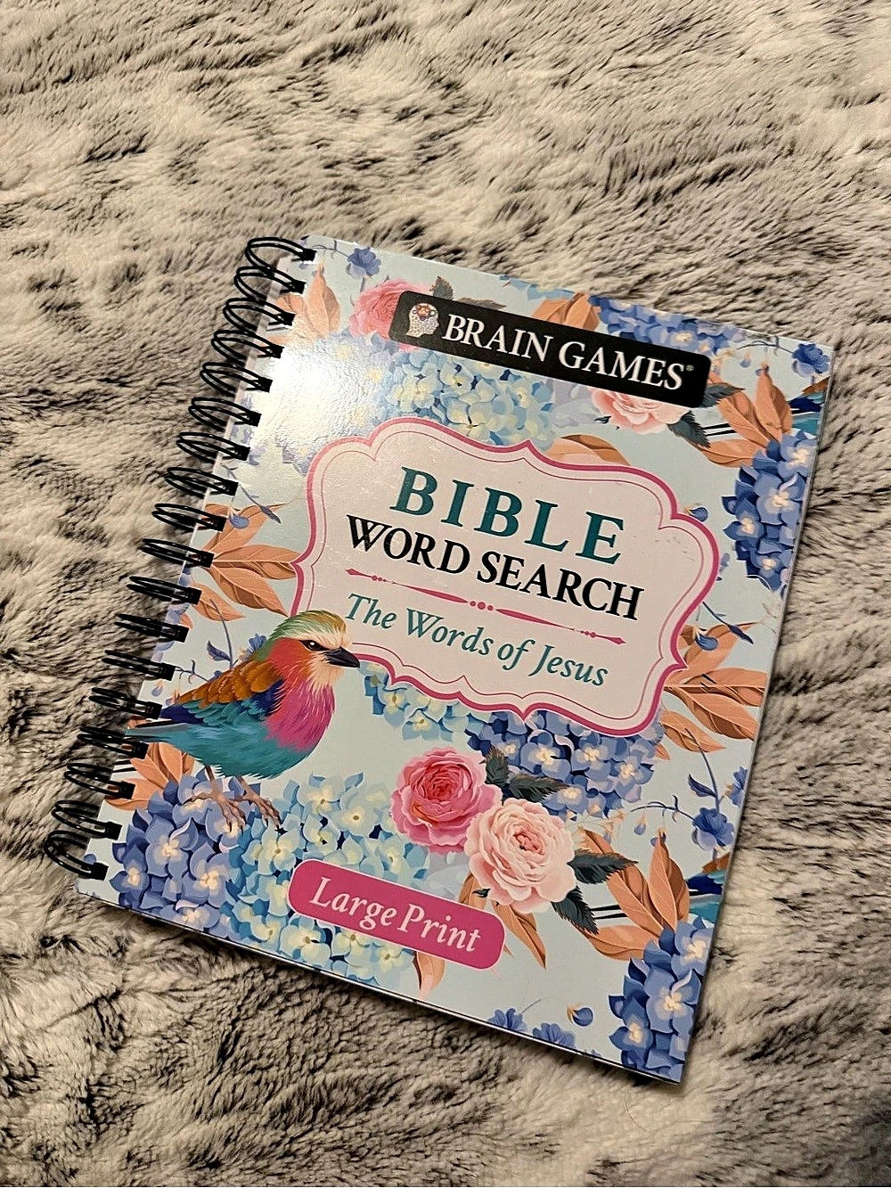 Brain Games Large Print Bible Word Search: The Words of Jesus
